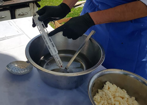 Dolomites Private Cheese Workshop 